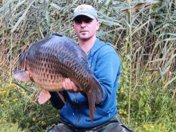 neckarcarp-crayfigammuss-1